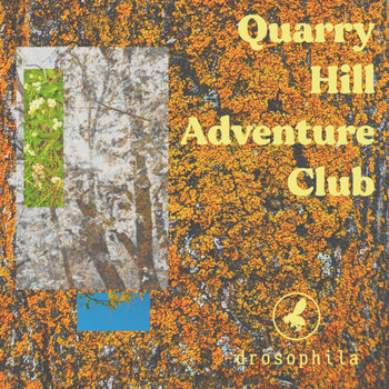 Quarry Hill Adventure Club
