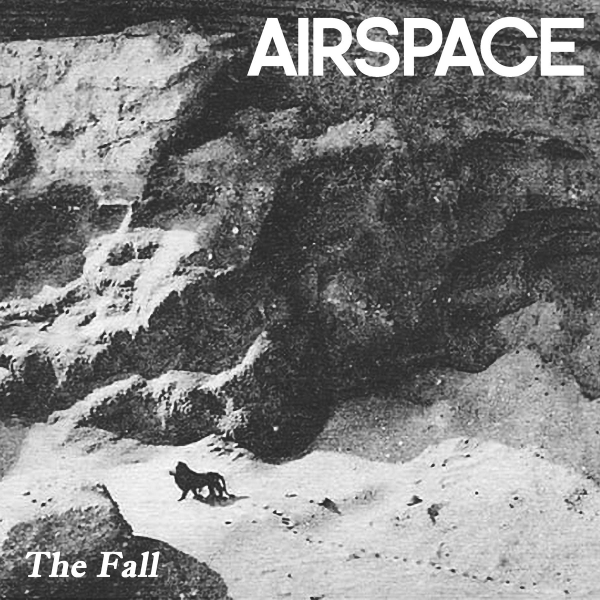 The Fall - Single | Airspace