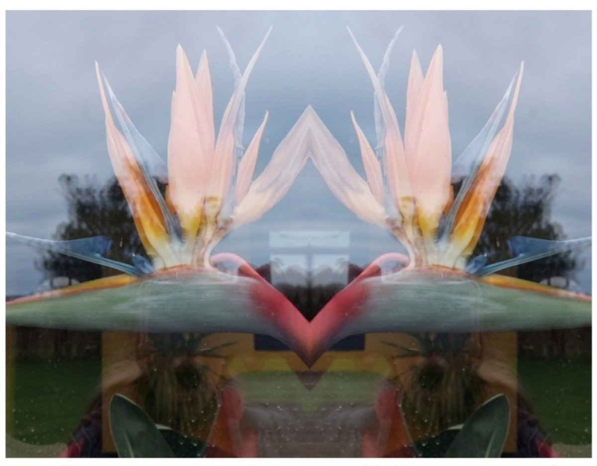 Movement EP cover