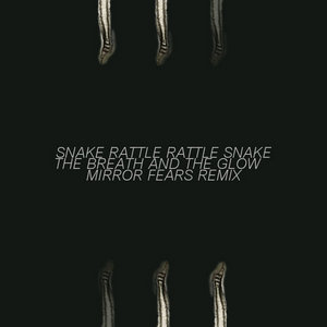 Remixes cover