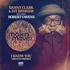 I Knew You (Arnaud D Remixes)