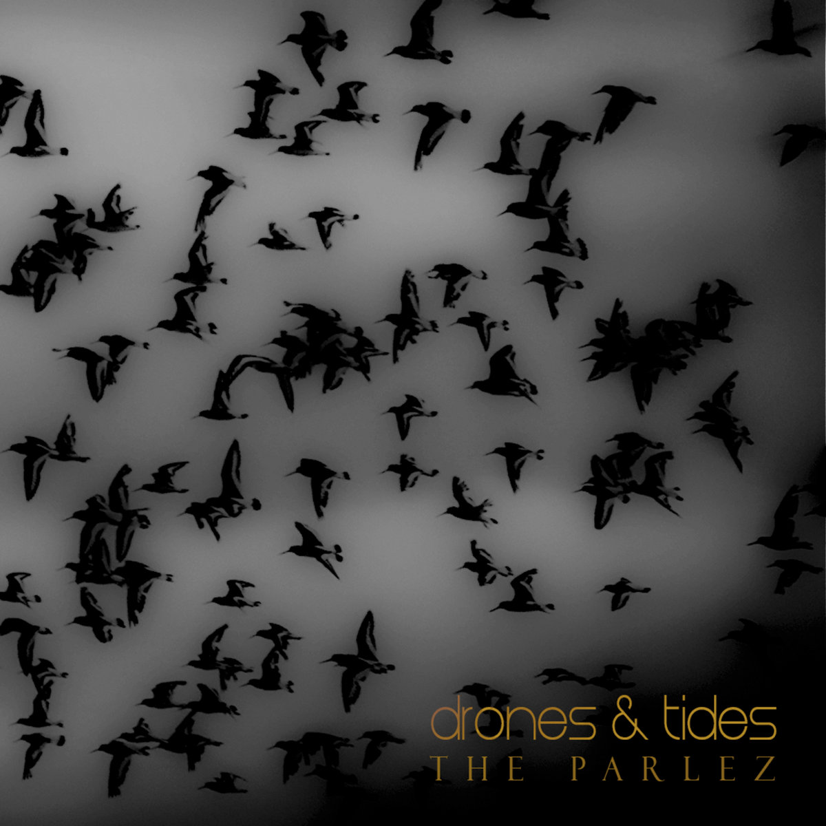 Drones & Tides cover