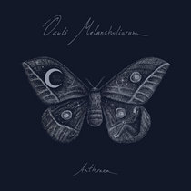 Oculi Melancholiarum - Antheraea