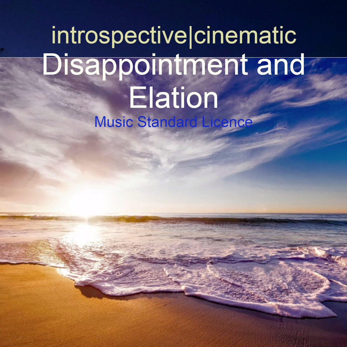 Disappointment and Elation - Music Standard License cover