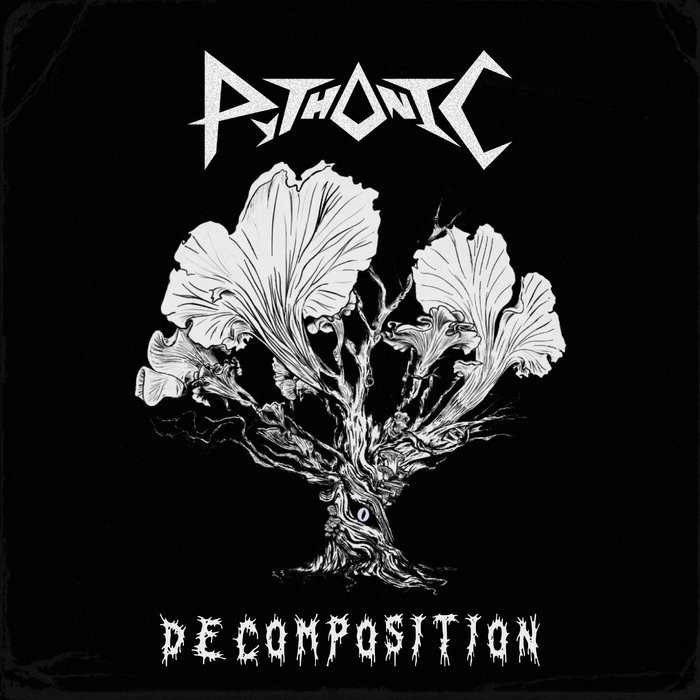 Pythionic Decomposition | Pythonic