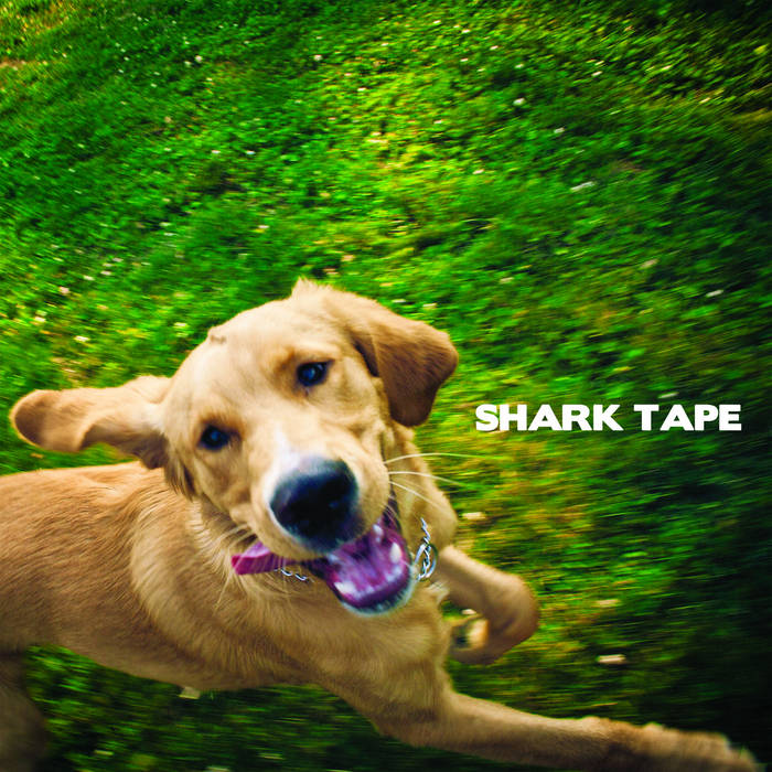 Shark tape sale