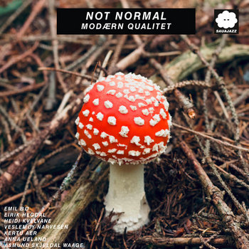 Album artwork for Modærn Qualitet