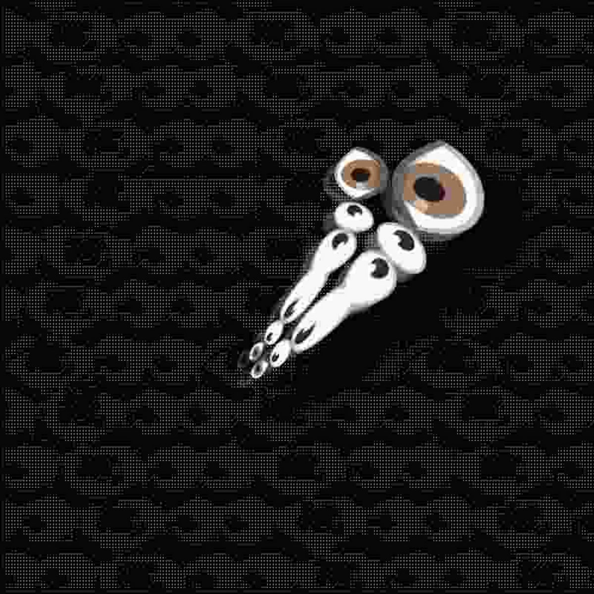 👁👀 | pjpriiincess
