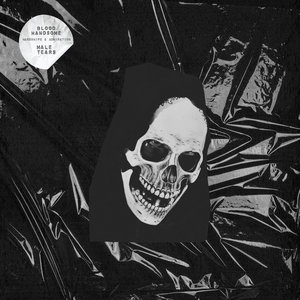 Hardships & AdmirationBlood Handsome & Male Tears cover