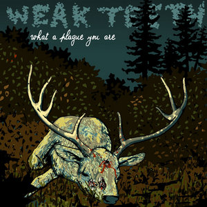 what a plague you are cover