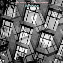 The Wave of Consciousness (AVAILABLE NOW AND ONLY ON https://dmtrecords.net/shop/) cover art