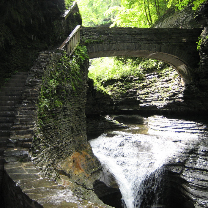 Riddle Road Dan Willecke