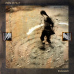 Praise Of Folly - Disillusioned
