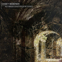 Your reflection echoes through the corridors cover art
