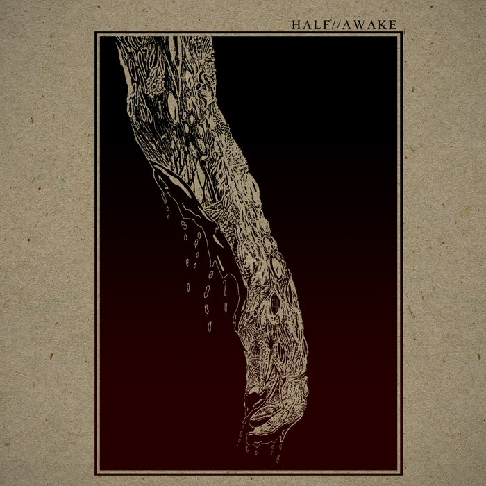 アート・デザイン・音楽 Half Awake and Half Asleep in the Water アート・デザイン・音楽 Half Awake and Half Asleep in the