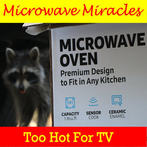 Too Hot For TV cover
