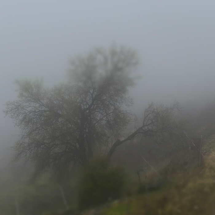 Blank Canvas Vol 2 Kahia