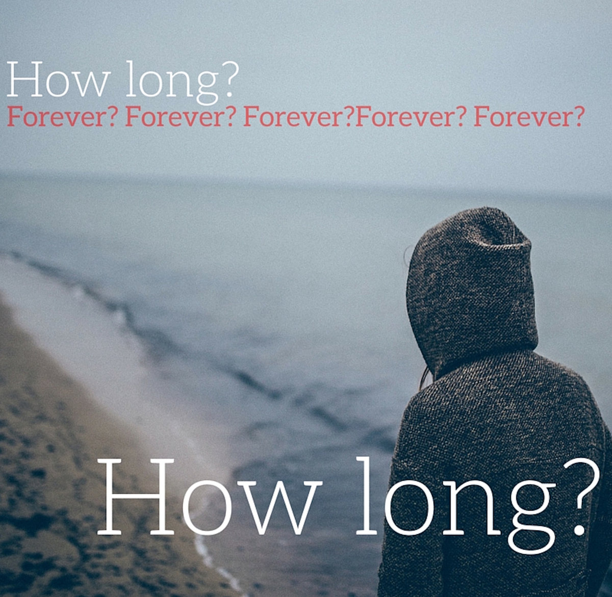 Come Back | Kyla Ferrier