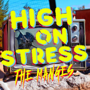 High On Stress cover