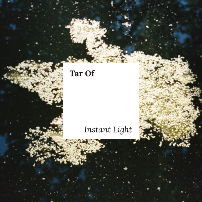 Instant Light | Tar Of