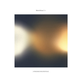 Album artwork for Merrin Karras / Live