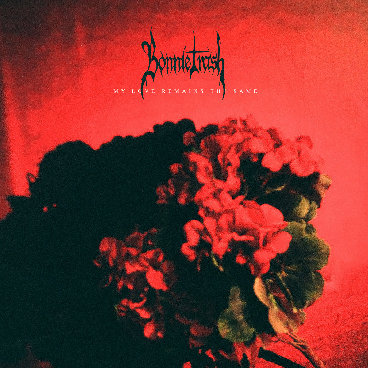 My Love Remains the Same | Bonnie Trash | Hand Drawn Dracula