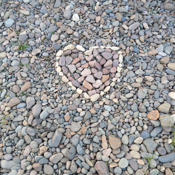 Something About a Bench