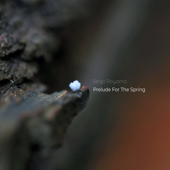 Seigo_aoyama Prelude_for_the_spring