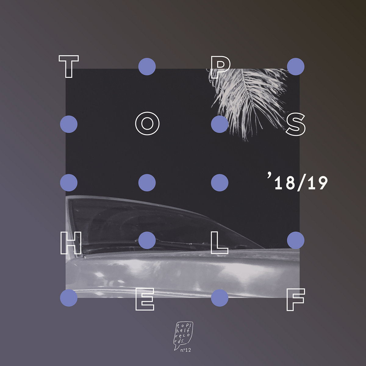 2018 sampler Topshelf Records