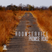 Promise Road cover art