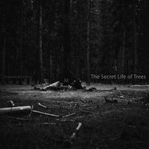 The Secret Life of Trees cover art
