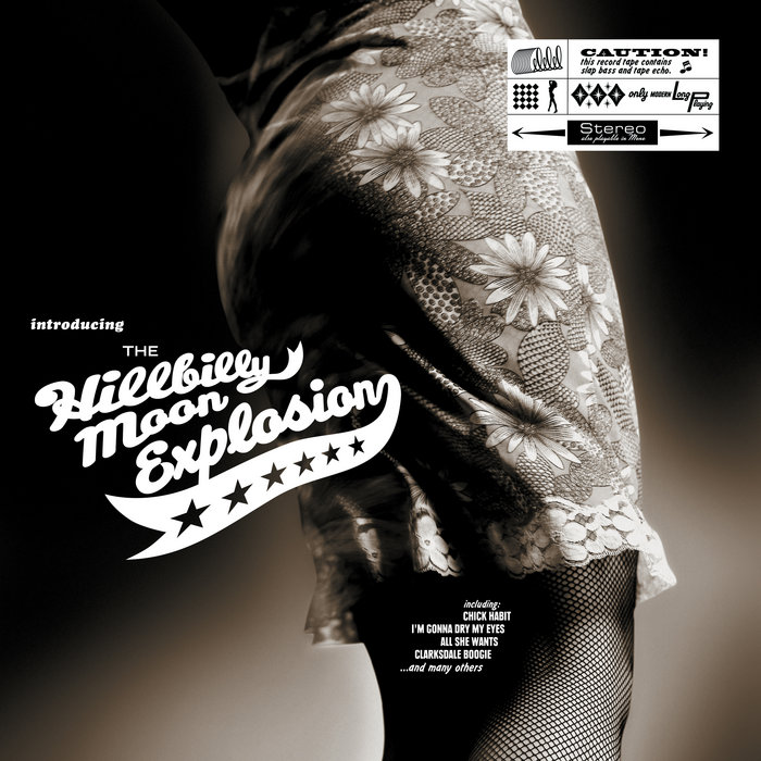 The Hillbilly Moon Explosion - LMD アナログ Amazon.com: Introducing The Hillbilly Moon Explosion: CDs
