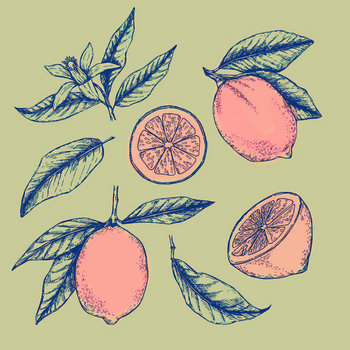 Lemons | No Violet