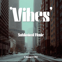 Vibes cover art