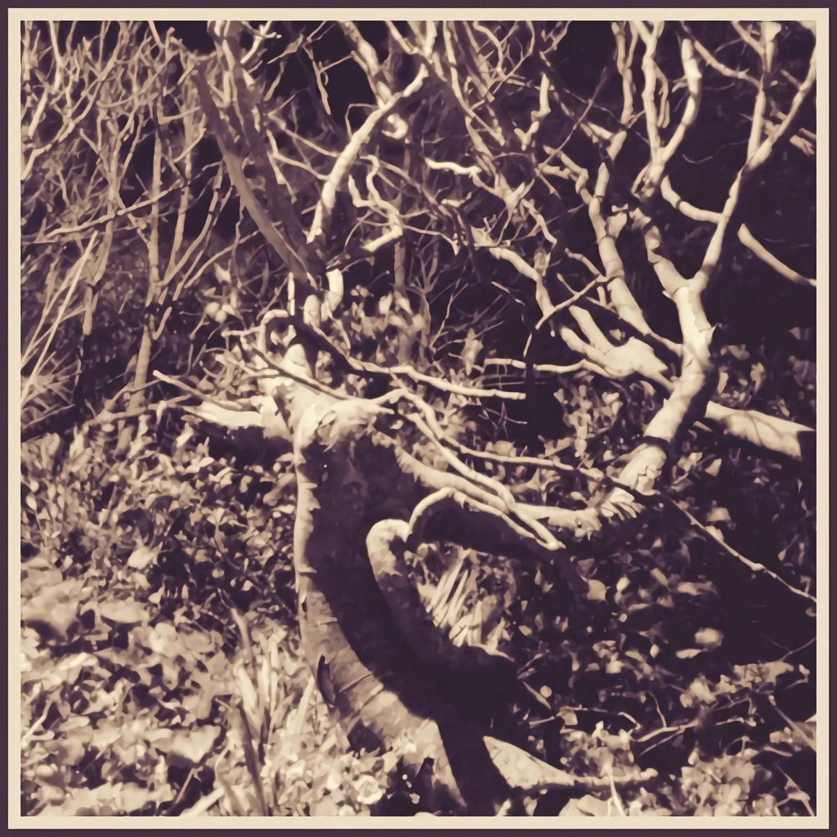 The Lost Demos cover