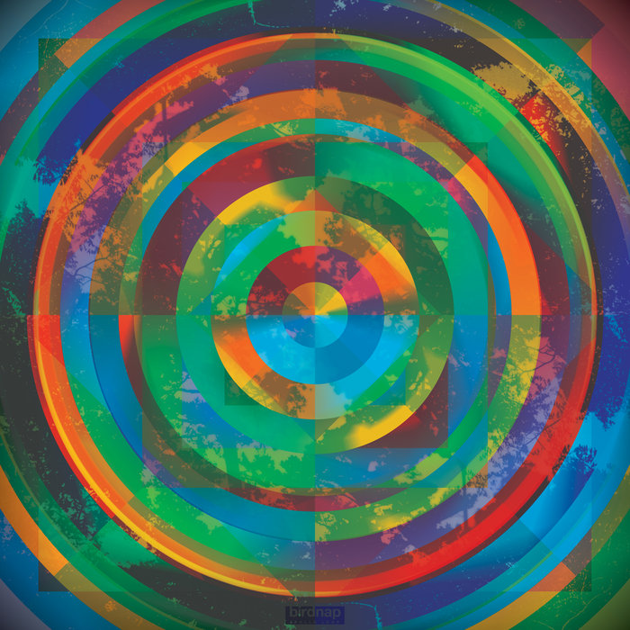 Apollo Loop | BIRDNAP