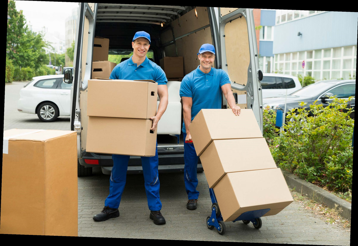 Pack Mule Movers Louisville Ky News Contact 1(855)7892734 pack mule