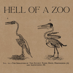 Hell of a Zoo cover