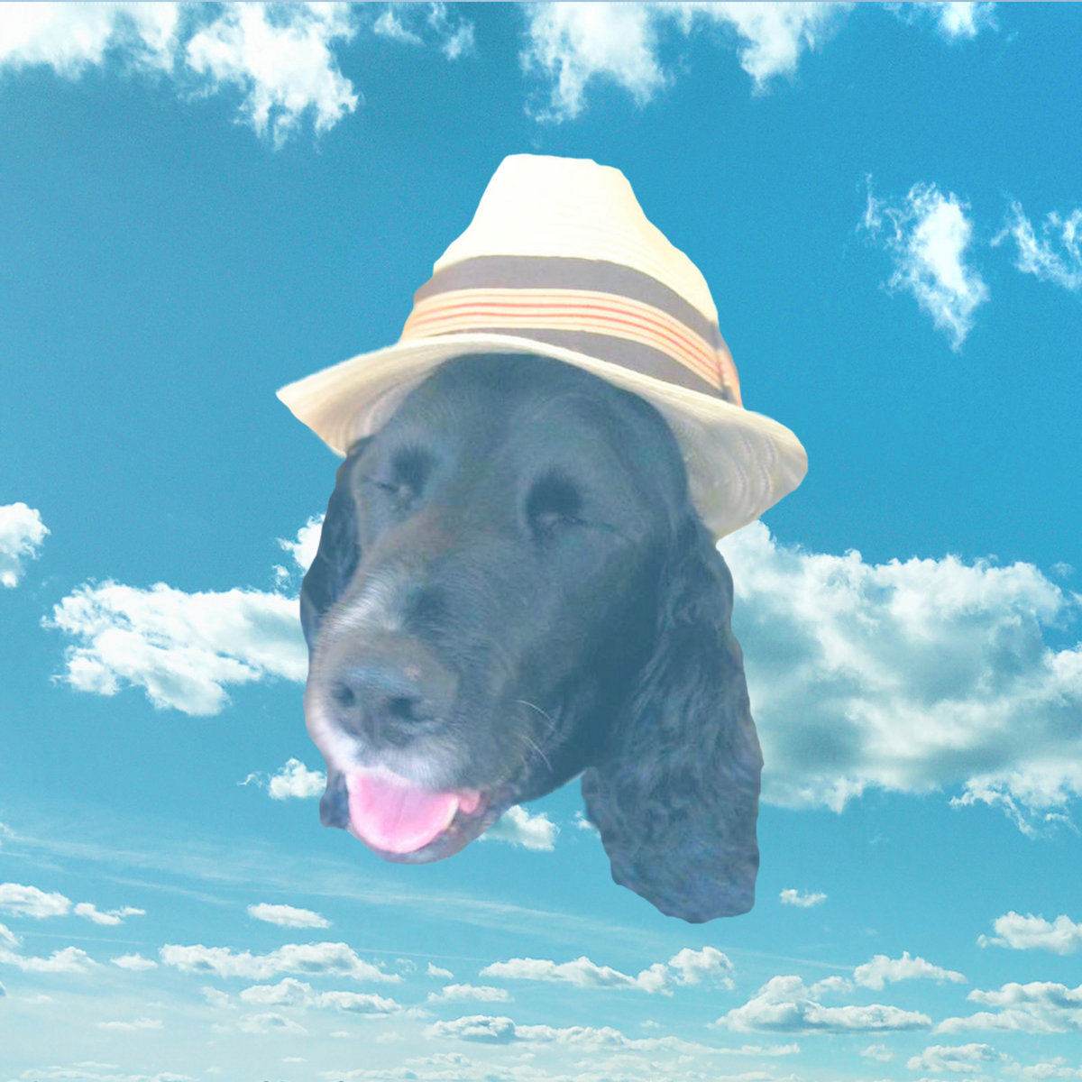 Ollie Up James M Wells