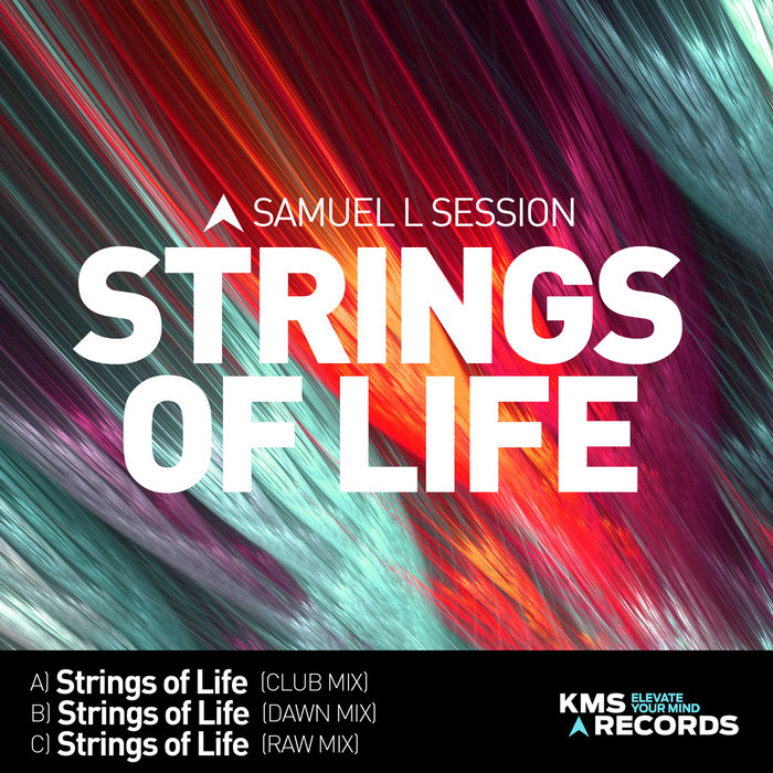Strings Of Life Samuel L Session BEAT Music Fund