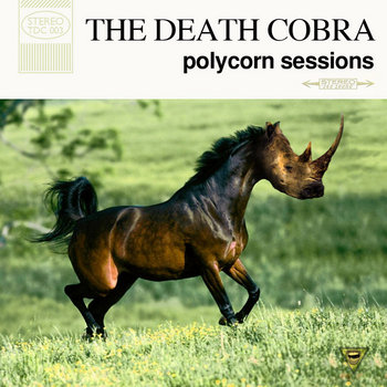 polycorn sessions | the death cobra