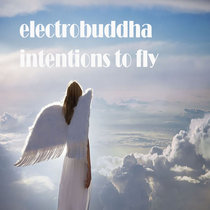 Intentions To Fly cover art