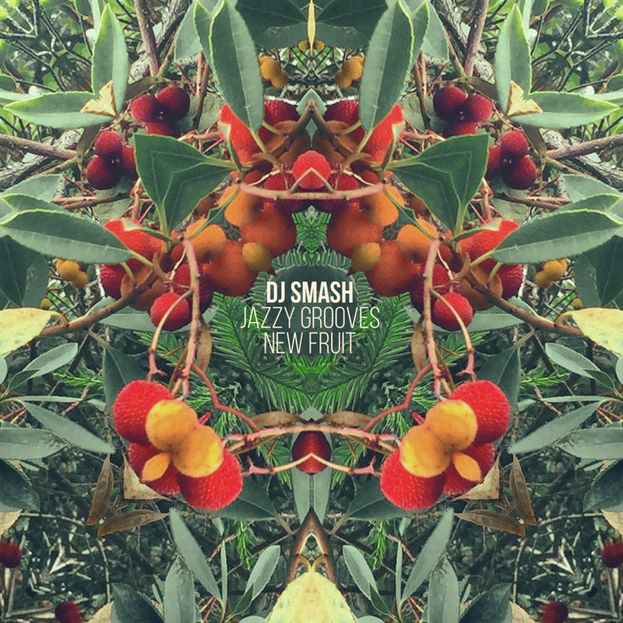 DJ SMASH 『FAT JAZZY GROOVES』　djs 002-1 DJ Smash – Fat Jazzy Grooves One, Two, Three. Early Collection