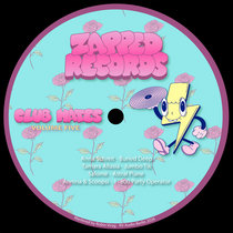 Zapped Records — Club Mates Vol 5.