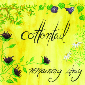 Cottontail — Remaining Stray