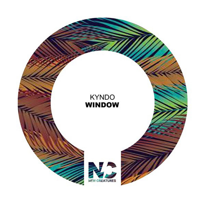 Window | Kyndo