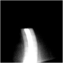 Vintra Mallumo cover art