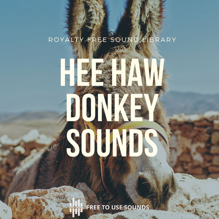 Royalty Free Donkey Sound Effects! Hee Haw! freetousesounds