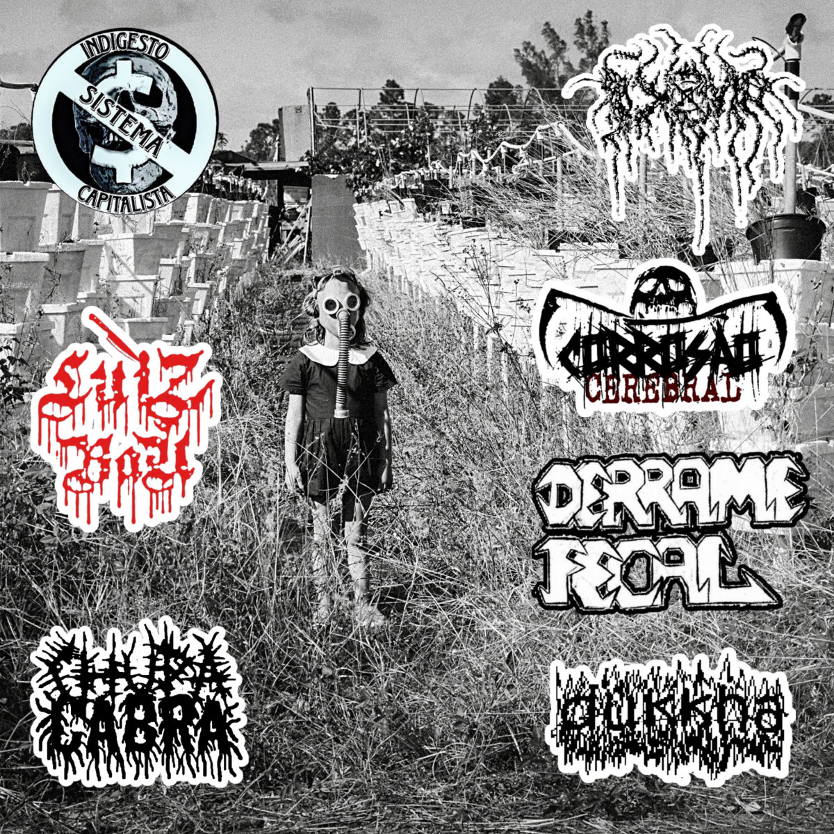 7-Way - NOISECORE (Split) | Corrosão Cerebral Chupa Cabra D.O.M.
