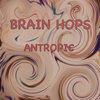 brainhops.bandcamp.com